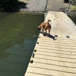 Canyon Creek Campground