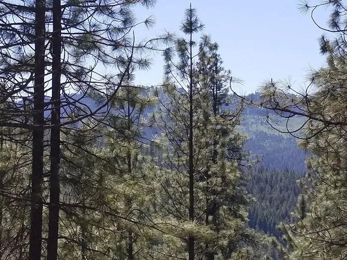 Dam View Campground 4