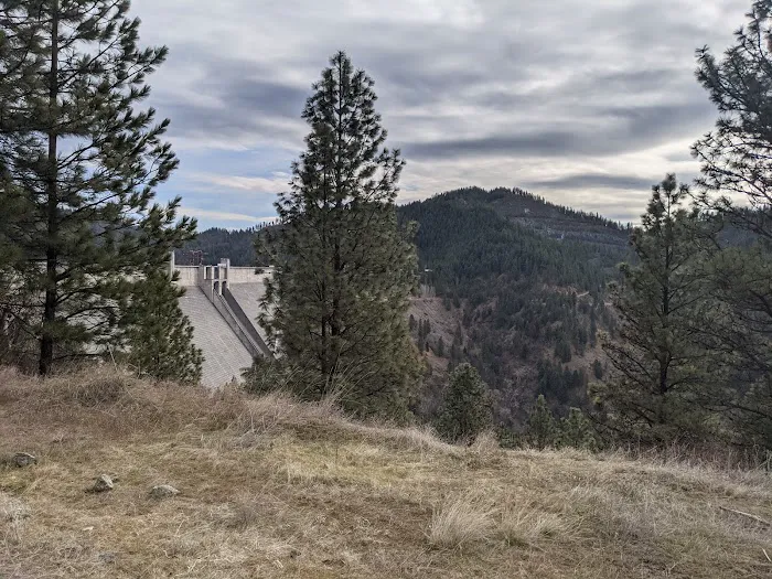 Dam View Campground 5