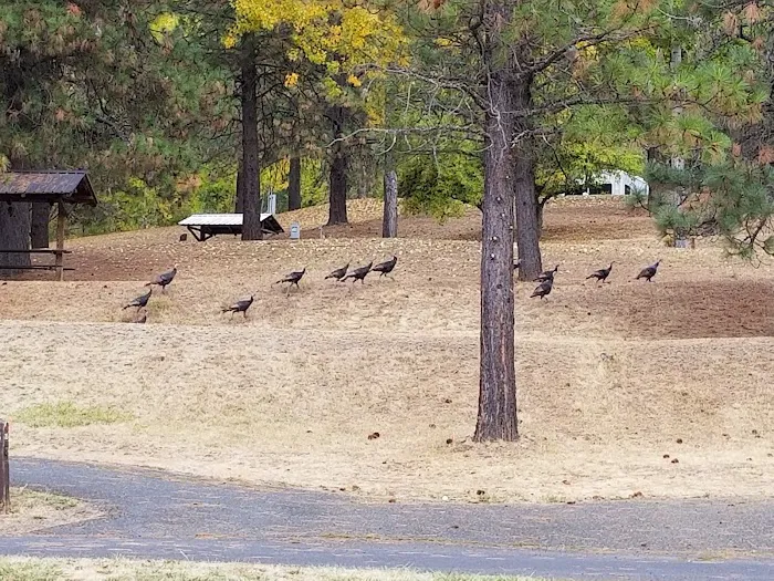 Dent Acres Campground 8