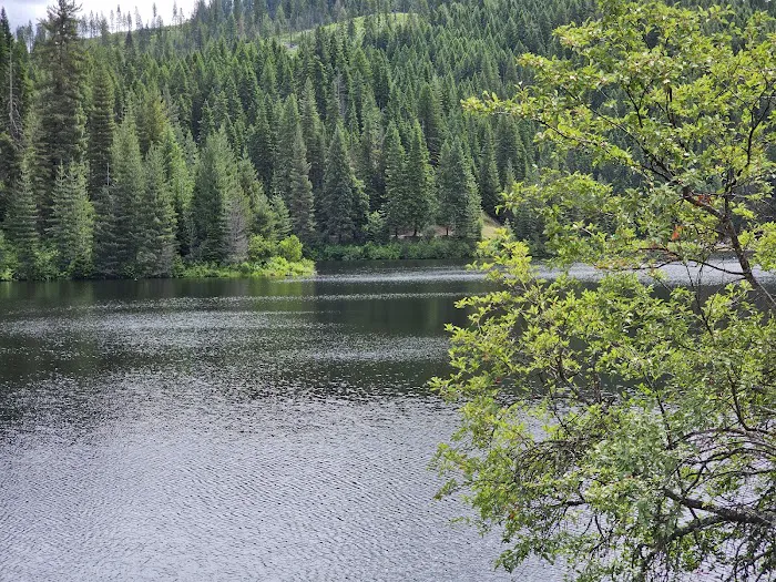 Whispering Pines RV Park 6