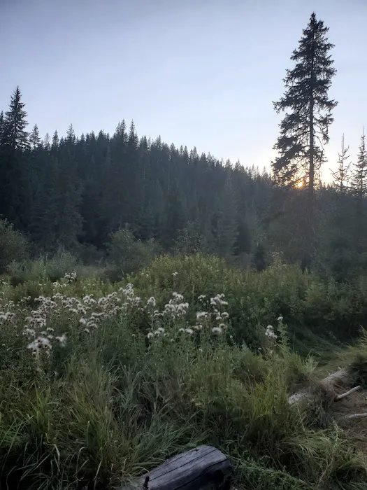 Partridge Creek Campground 4