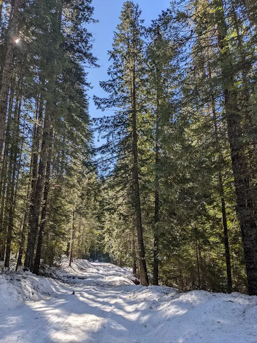 Elk Creek Campground 2