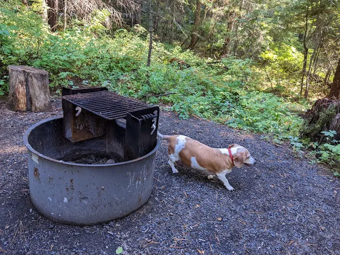 Elk Creek Campground 8