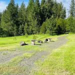 BIG BEAR RV CAMPGROUND