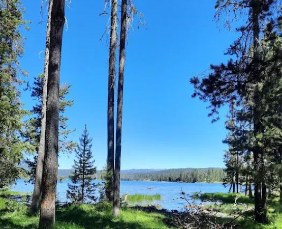 Lost Valley Boat Launch (recgovnpsdata)
