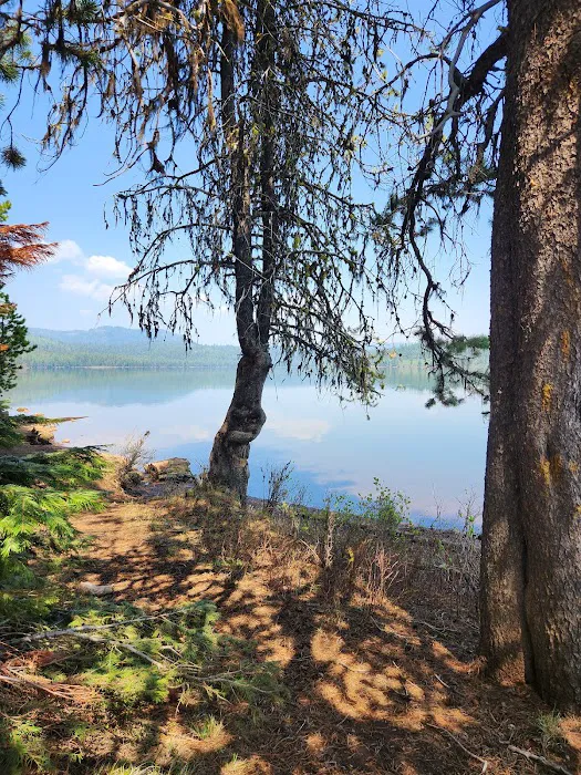 Lost Valley Boat Launch (recgovnpsdata) 4