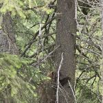 Lost Valley Reservoir Camping Area