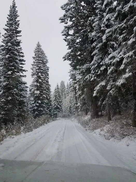Lost Valley Reservoir Camping Area 3