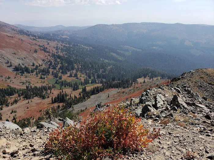 Huckleberry Campground 5