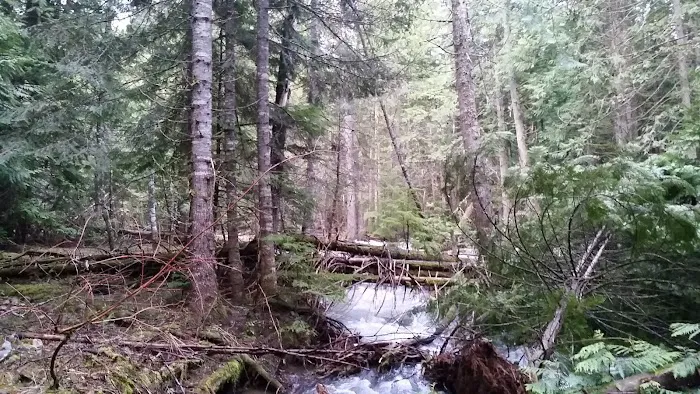 Huckleberry Campground 9