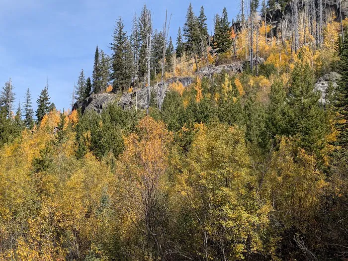 Grouse Group Picnic Site (recgovnpsdata) 1