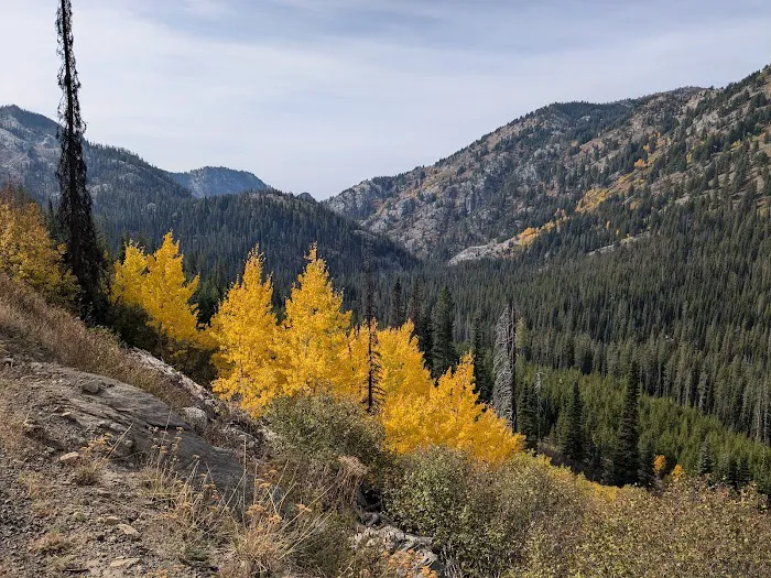 Grouse Group Picnic Site (recgovnpsdata) 0