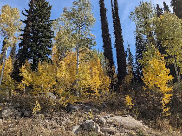 Grouse Group Picnic Site (recgovnpsdata) 2