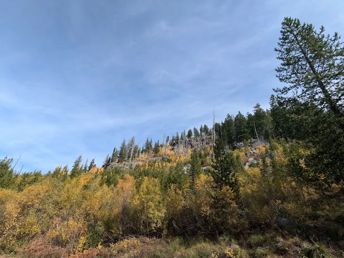 Grouse Group Picnic Site (recgovnpsdata) 8