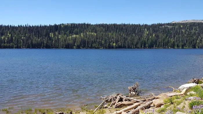 Grouse Group Picnic Site (recgovnpsdata) 3