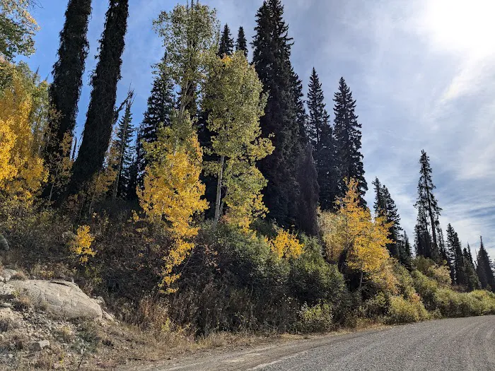 Grouse Group Picnic Site (recgovnpsdata) 6
