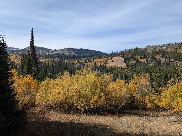 Grouse Group Picnic Site (recgovnpsdata) 4
