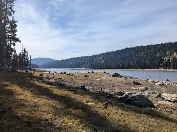 Grouse Group Picnic Site (recgovnpsdata) 9