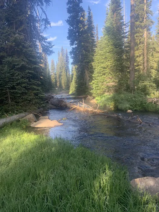 Grouse Campground 1