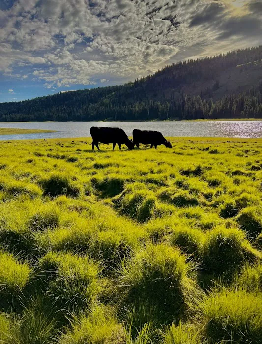 Grouse Campground 5