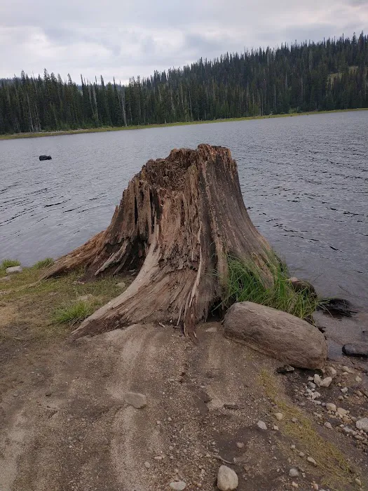 Grouse Campground 9