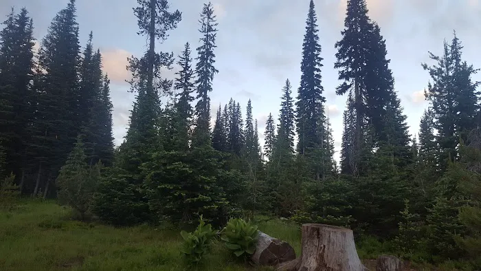 Grouse Campground 7