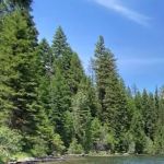 Ponderosa Peninsula Campground Loop