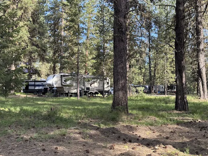 Ponderosa Peninsula Campground Loop 3