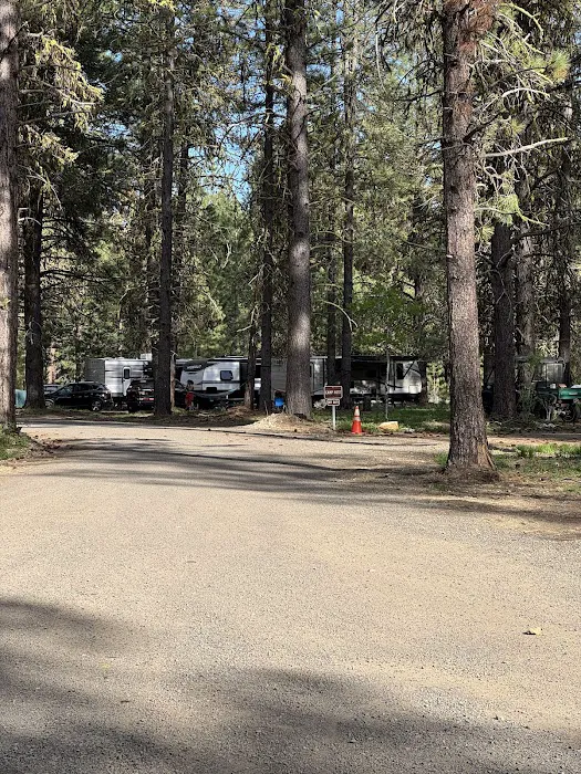 Ponderosa Peninsula Campground Loop 5