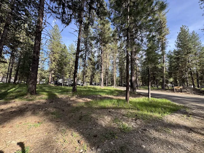 Ponderosa Peninsula Campground Loop 4