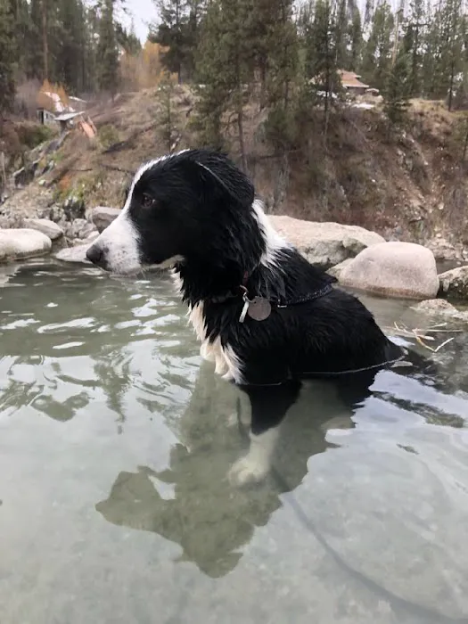 Hot Springs Campground 5