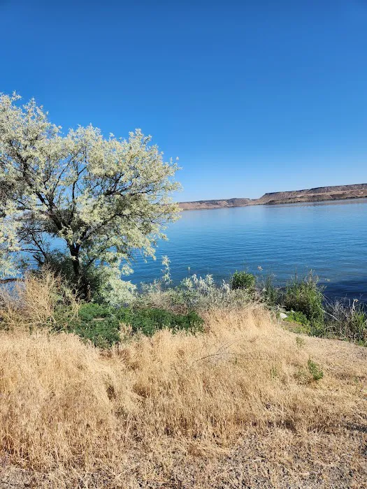 Cove Recreation Site 4