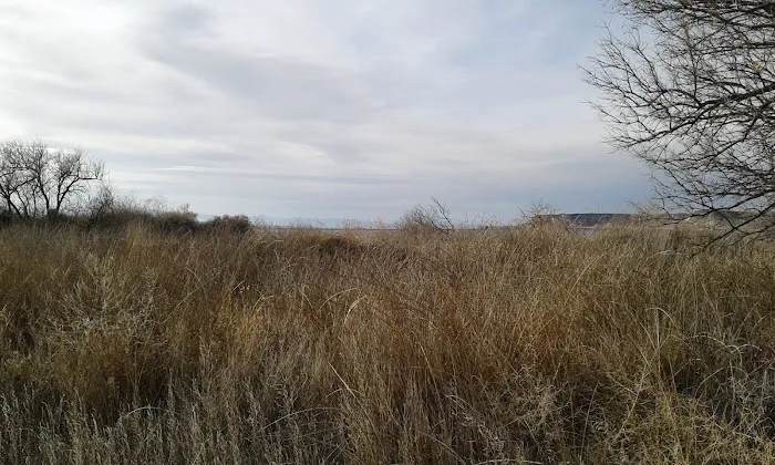 Cove Recreation Site 8