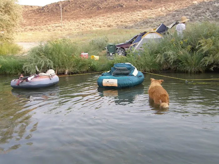 Cove Arm Campground 2