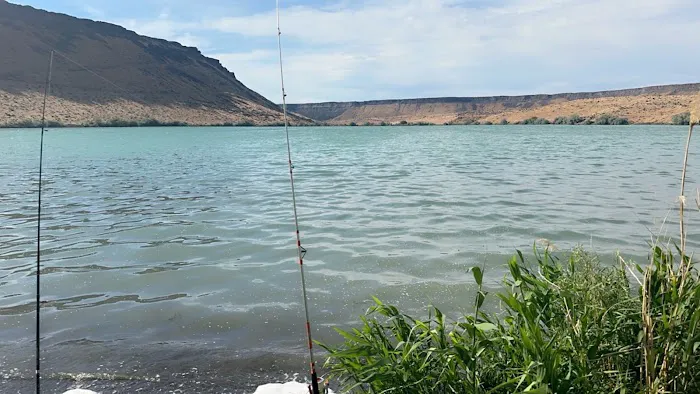 Cove Arm Campground 8