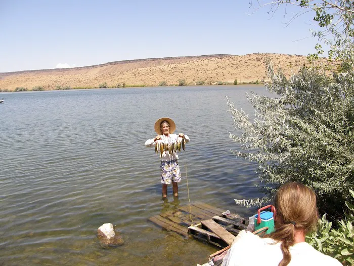 Cove Arm Campground 9