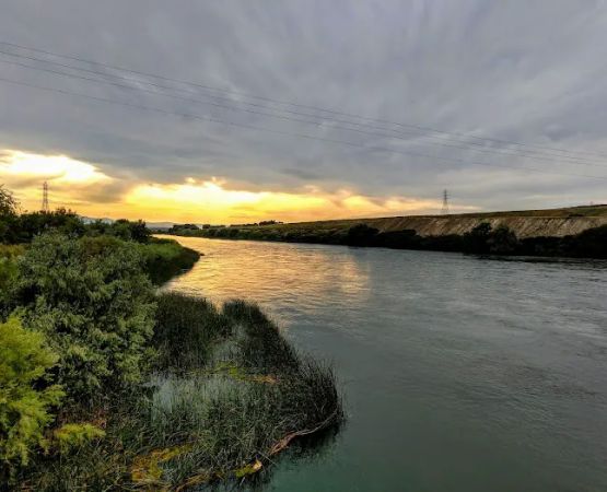 Scout Park