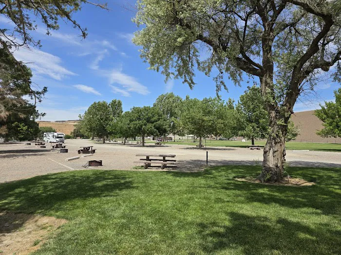 Scout Park 2