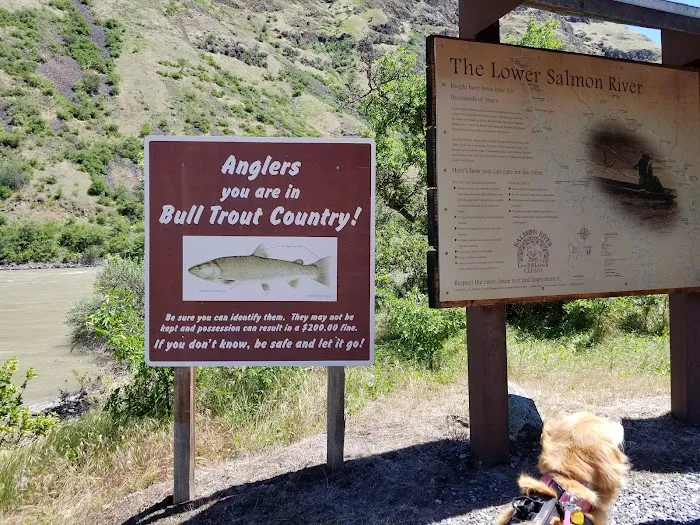 Hammer Creek Campground 4
