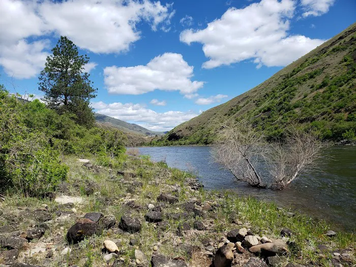 Hammer Creek Campground 1