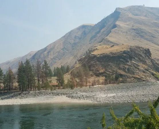 River Village RV Park
