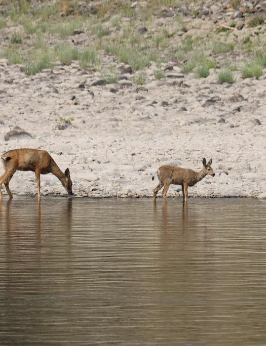 Shorts Bar Recreation Site 9