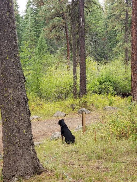 Cabin Creek Campground 1