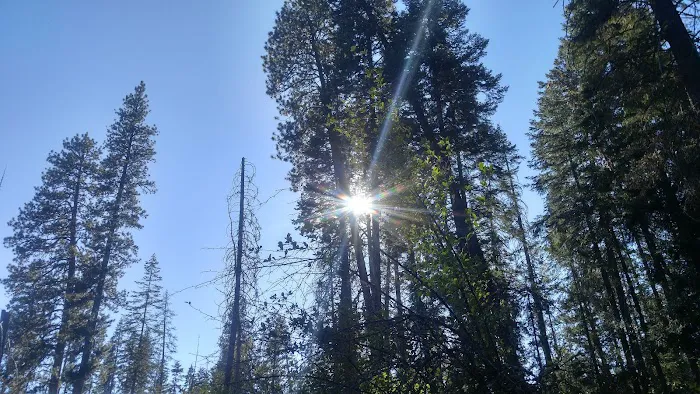 Cabin Creek Campground 4