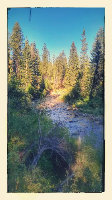 Cabin Creek Campground 6