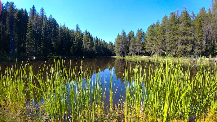 Moose Creek Campground 3