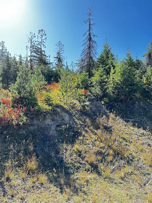 Moose Creek Campground 4