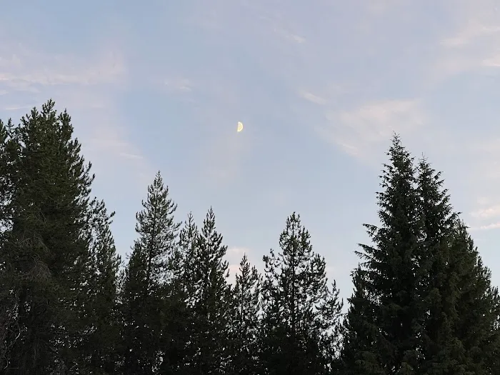 Moose Creek Campground 5