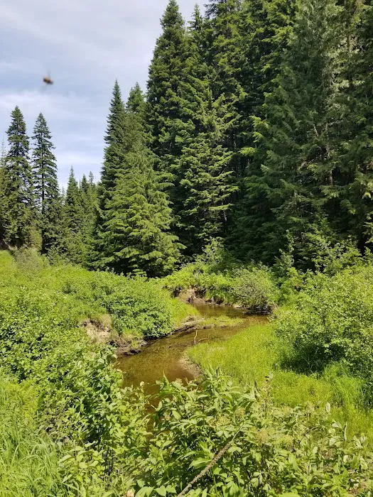 Emerald Creek Campground 6